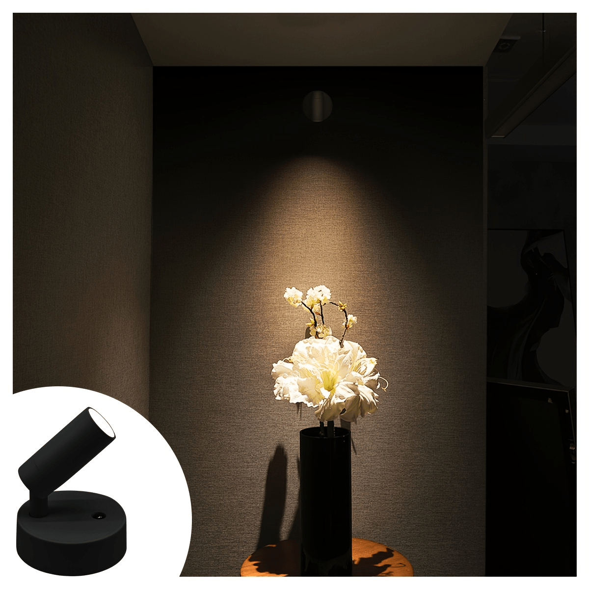 Motion Sensor Projection Lamp With 3-Color Dimming