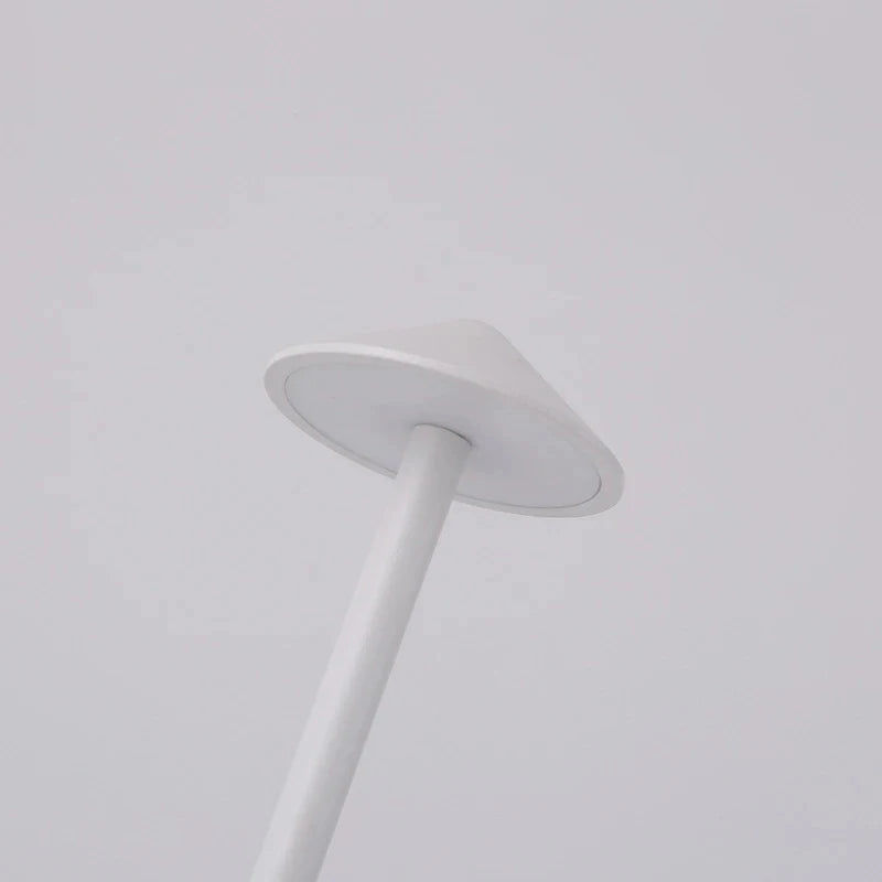 Rechargeable LED Table Lamp With Touch Dimming