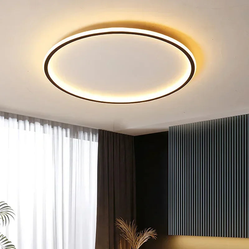 Nordic LED Ceiling Light For Living Room And Bedroom