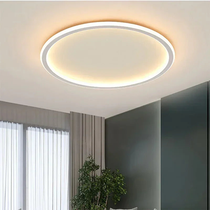 Nordic LED Ceiling Light For Living Room And Bedroom